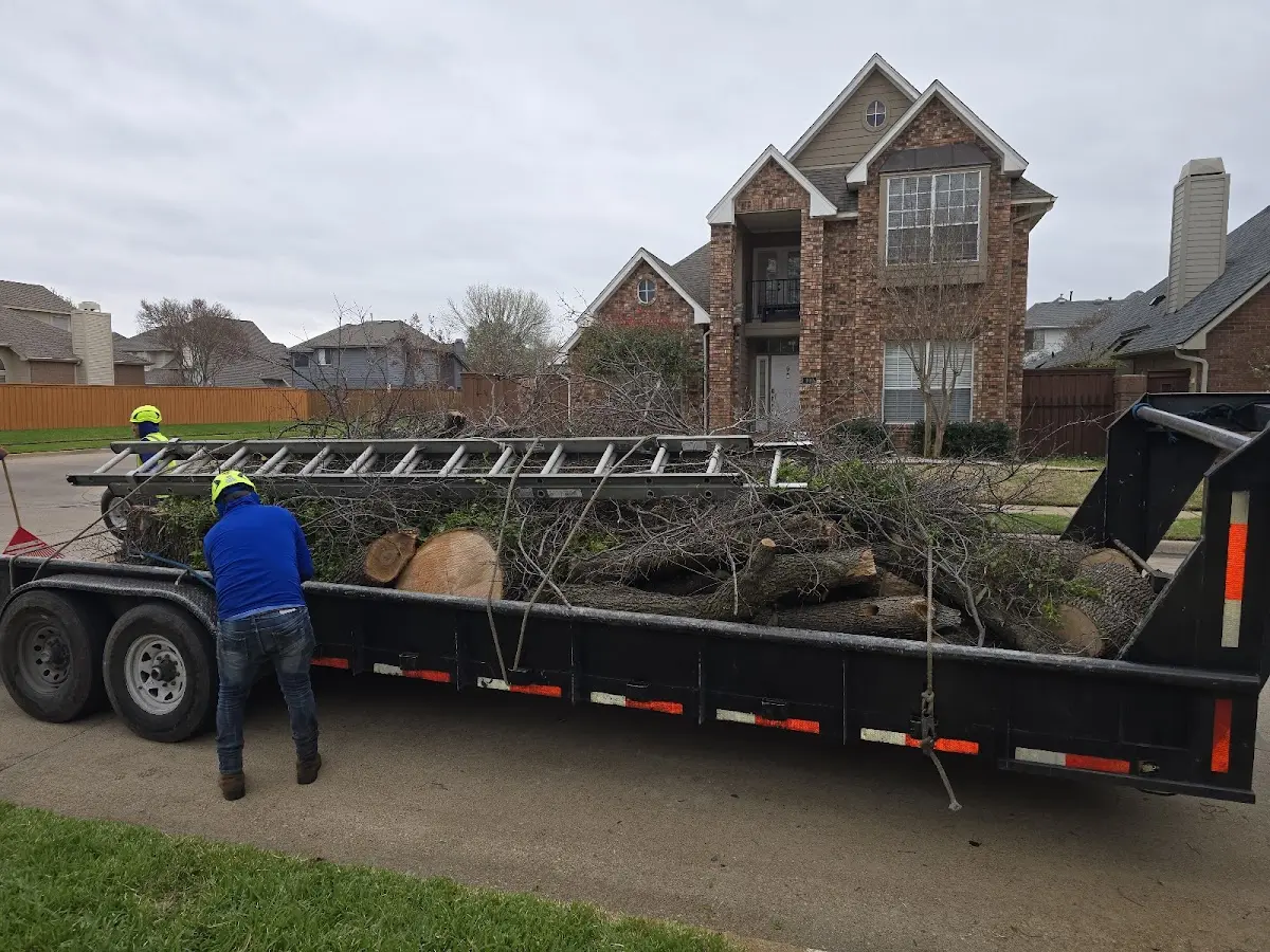 Expert Tree Pest Control with proper safety equipment in Harperville